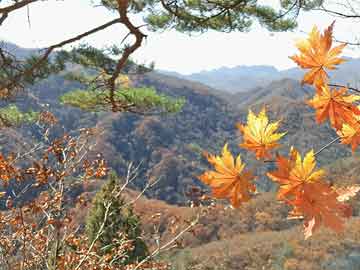 巴基斯坦军方：巴印战机短暂对峙,巴基斯坦战机击落印度